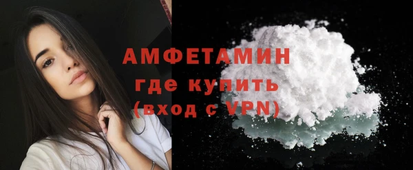 гидра Пересвет