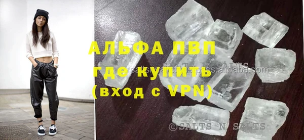 гидра Пересвет