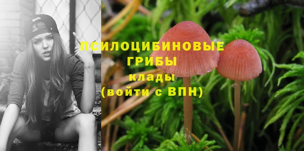 спиды Осинники