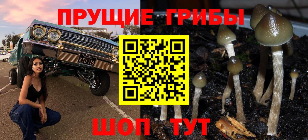 продажа наркотиков  Галлюциногенные грибы мухоморы  Ирбит  Вход с VPN  Галлюциногенные грибы прущие грибы 
