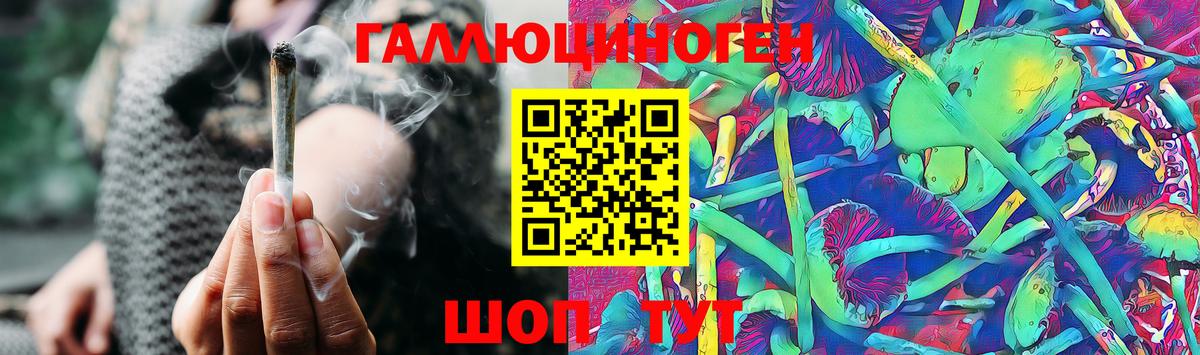 Псилоцибиновые грибы Cubensis Ирбит