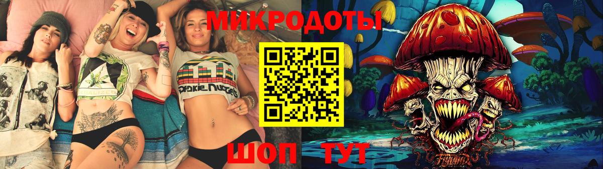 Галлюциногенные грибы Psilocybe  Ирбит 